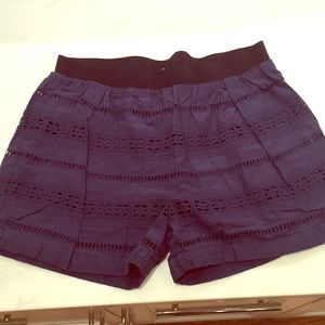 No longer available girls JCrew eyelet shorts